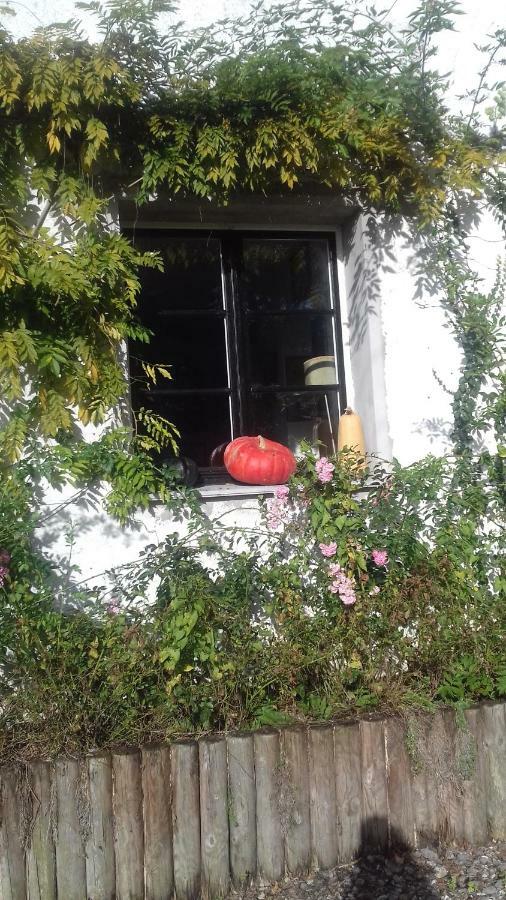 La Colline Des Roses Bed & Breakfast Conchil-le-Temple Eksteriør bilde