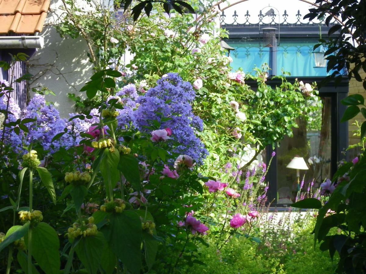 La Colline Des Roses Bed & Breakfast Conchil-le-Temple Eksteriør bilde
